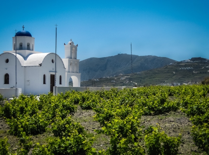 Την Τετάρτη 25 Σεπτεμβρίου η συνάντηση του Wine Club THESSALONIKI’96 με θέμα «Το Ασύρτικο στη νησιωτική Ελλάδα»