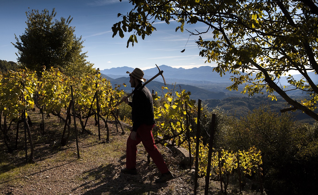 Έρχεται το Wine Club THESSALONIKI'96 στις 28 Ιανουαρίου 2026