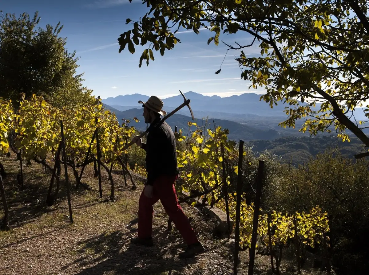 Έρχεται το Wine Club THESSALONIKI'96 στις 28 Ιανουαρίου 2026