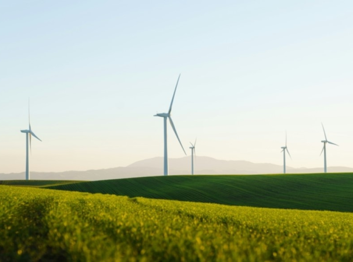 Τον 5ο κύκλο για το πρόγραμμα «ESG: Βιώσιμη Ανάπτυξη Επιχειρήσεων» ανακοίνωσε η AHK Akademie