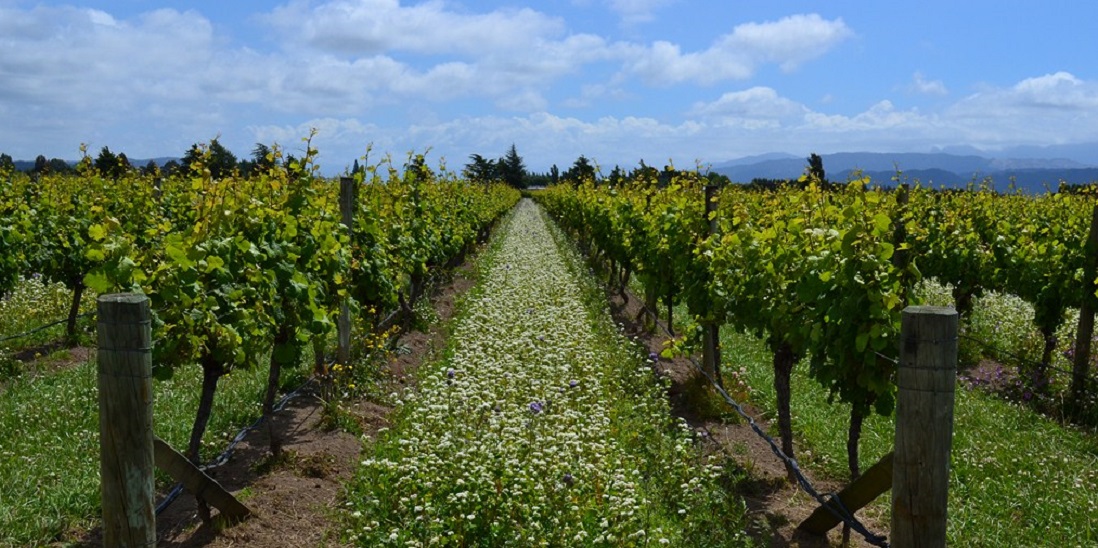Στις 25 Φεβρουαρίου η επόμενη συνάντησή του Wine Club THESSALONIKI'96 