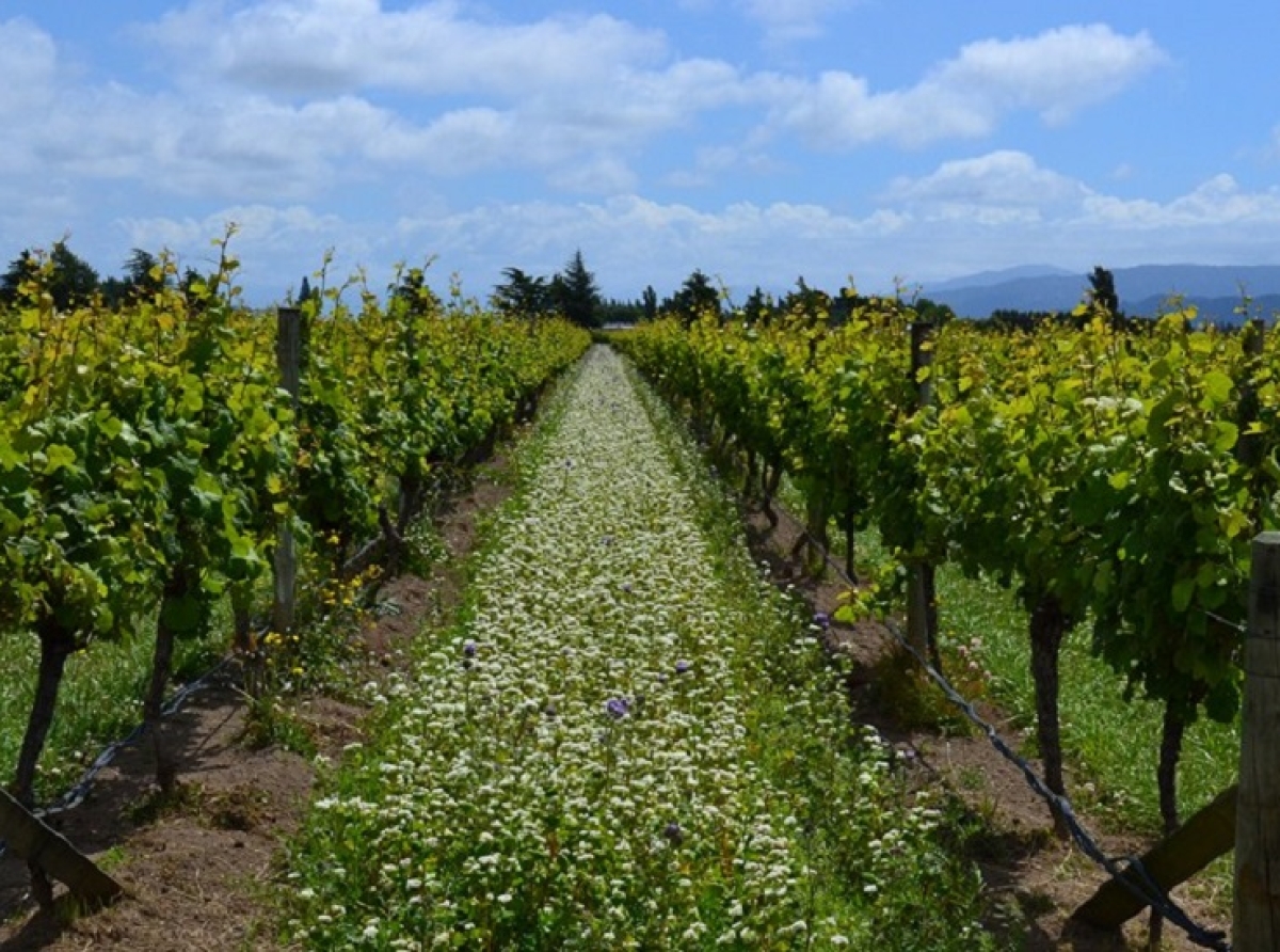 Στις 25 Φεβρουαρίου η επόμενη συνάντησή του Wine Club THESSALONIKI'96