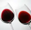 Wine Club Thessaloniki '96: Εκδήλωση «Ερυθρά με Φινέτσα & Χαρακτήρα» την Τετάρτη 14 Οκτωβρίου